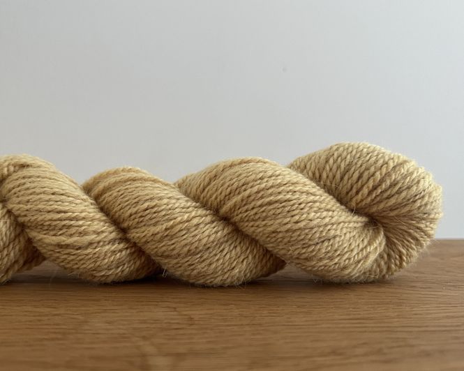 Hoofdbeeld Angora - citrien
