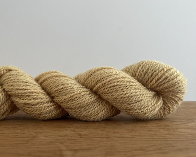 Angora - citrien